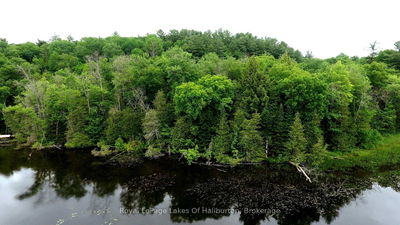  SOUTH BEAVER LAKE Lane, Minden Hills - Lutterworth image-0-1