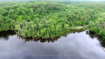  SOUTH BEAVER LAKE Lane, Minden Hills - Lutterworth image-0-2