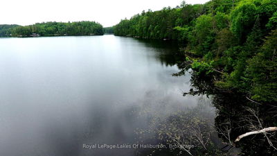  SOUTH BEAVER LAKE Lane, Minden Hills - Lutterworth image-0-3