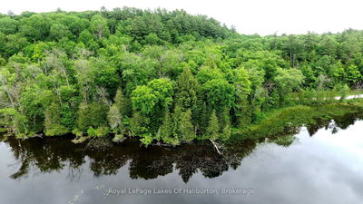  SOUTH BEAVER LAKE Lane, Minden Hills - Lutterworth image-0-4