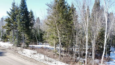 Lot 9 Part 1 Johnson Rd, East Ferris - Corbeil image-0-1