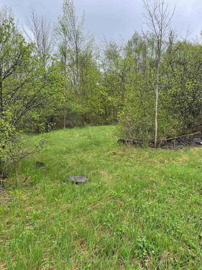 01 Adams-Cummings Rd, Trent Lakes - Trent Lakes image-0-1