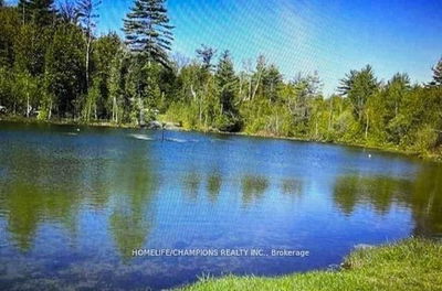 Unit Lot 228 — 248 Pinnacle Hill Rd, Alnwick/Haldimand - Rural Alnwick/Haldimand image-0-4