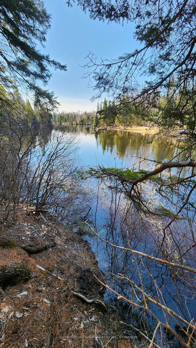 00 Red Pine Trail
