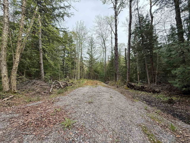 0 Bear Cave Road