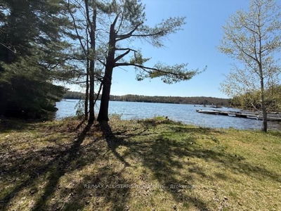 1019 Osler Lane, Minden Hills - Lutterworth image-0-2