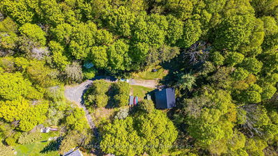 527 Aspdin Rd, Huntsville - Chaffey image-0-4