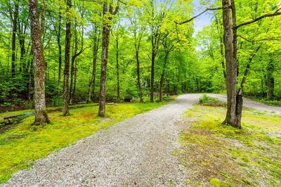 1069 CANUCK Tr, Minden Hills - Lutterworth image-0-1