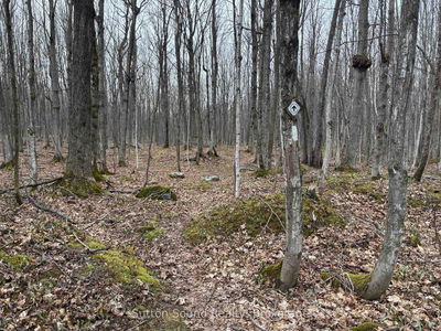PT LT 9 CON 14 EBR PT 20 Concession, Northern Bruce Peninsula - Northern Bruce Peninsula image-0-2