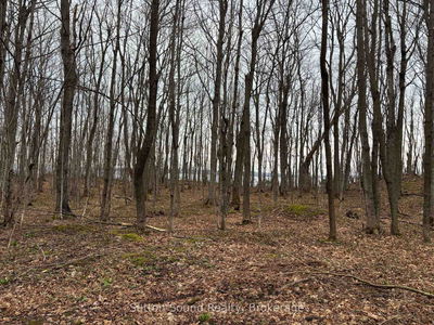 PT LT 9 CON 14 EBR PT 20 Concession, Northern Bruce Peninsula - Northern Bruce Peninsula image-0-3