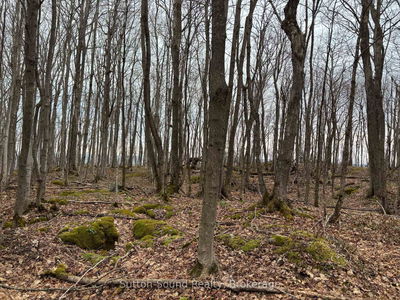 PT LT 9 CON 14 EBR PT 20 Concession, Northern Bruce Peninsula - Northern Bruce Peninsula image-0-4