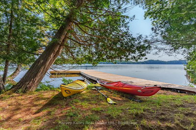 23B Coons Rd, Seguin - Seguin image-0-1