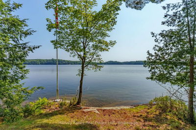 23B Coons Rd, Seguin - Seguin image-0-4