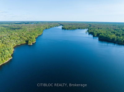 139 Lake Vision Ave, McMurrich/Monteith - Monteith image-0-1