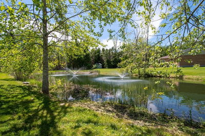 615 Edenderry Line, Selwyn - Selwyn image-0-2