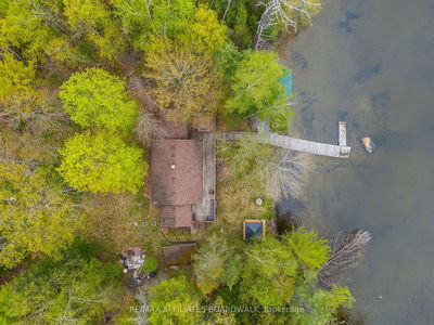 593 Mazinaw Lake, Cloyne - Addington Highlands image-0-1