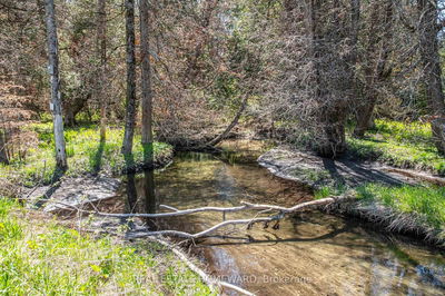 P/L35 Con 5 Bull Rd, Alnwick/Haldimand - Rural Alnwick/Haldimand
