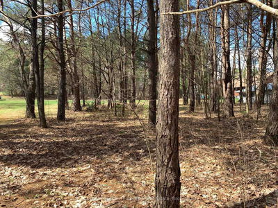 107 Albert St, Sundridge - Sundridge image-0-4