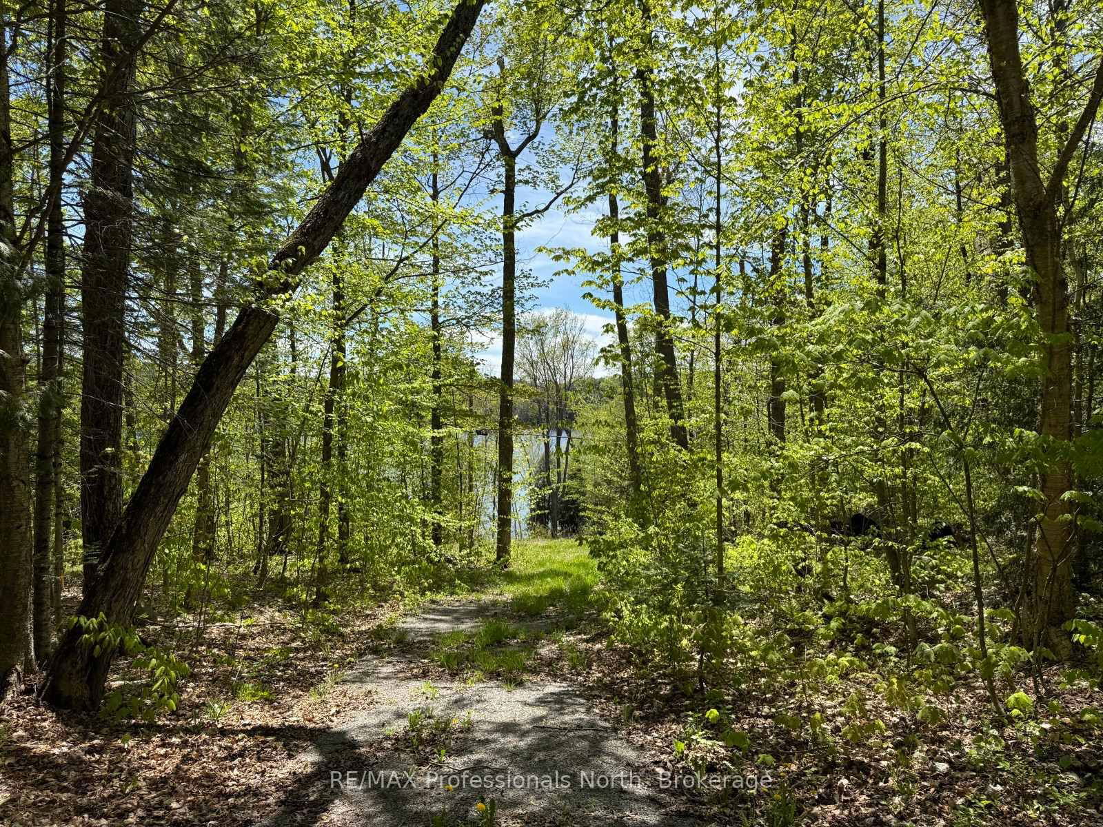 Vacant Land for sale at 2612 Wilkinson Road, Dysart et al, Havelock, K0M 1S0 - MLS: X12164739