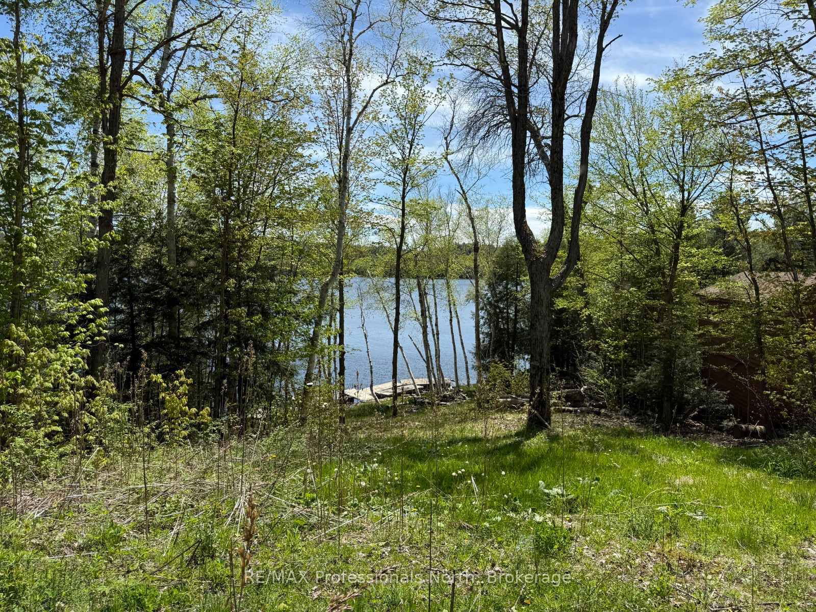 Vacant Land for sale at 2612 Wilkinson Road, Dysart et al, Havelock, K0M 1S0 - MLS: X12164739