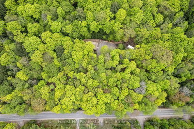 1175 Paint Lake Rd, Lake of Bays -  image-0-3