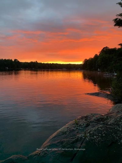 1062 Dockside Dr, Minden Hills - Lutterworth image-0-2