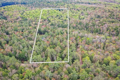 1180 HENEY LAKE Rd, Lake of Bays - Mclean