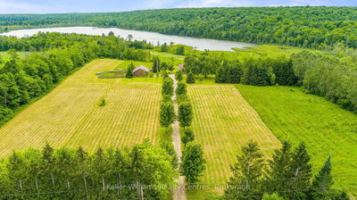 210182 Burgess Side Rd, Georgian Bluffs - Georgian Bluffs image-0-1