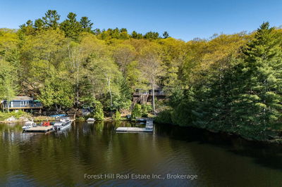 48 Raven Lake, Lake of Bays - Ridout image-0-1