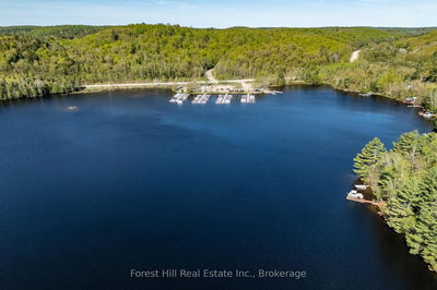 48 Raven Lake, Lake of Bays - Ridout image-0-3
