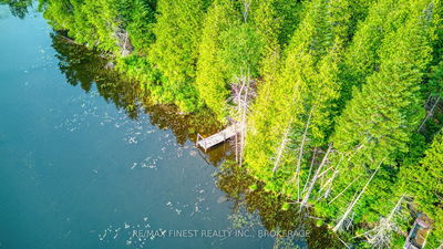 E 1/2 Lot 22 Concession 9 Palmerston, Ompah - Frontenac North image-0-4