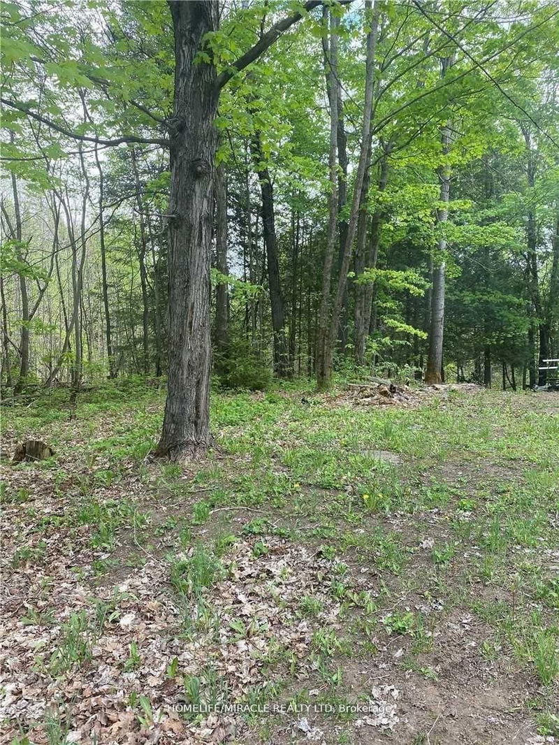 3460 Harburn Rd, Dysart et al - Harburn image-0-0