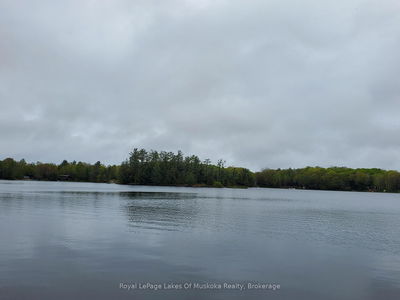 1357 Dickie Lake Rd, Lake of Bays - Mclean image-0-1
