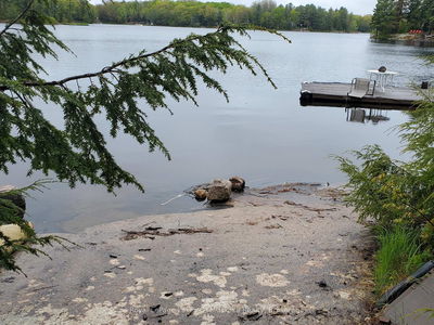 1357 Dickie Lake Rd, Lake of Bays - Mclean image-0-3