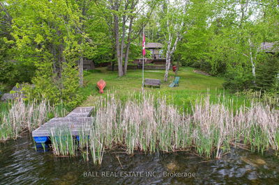 72 Hill Dr, Trent Lakes - Trent Lakes image-0-2
