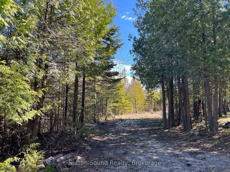 50 Harpur Dr, Northern Bruce Peninsula - Northern Bruce Peninsula image-0-0