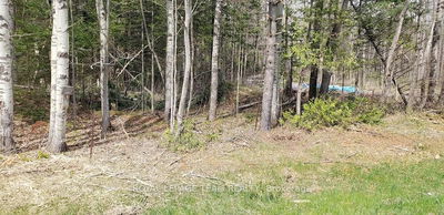 000 Burnstown Rd, White Lake - Mcnab/Braeside Twps