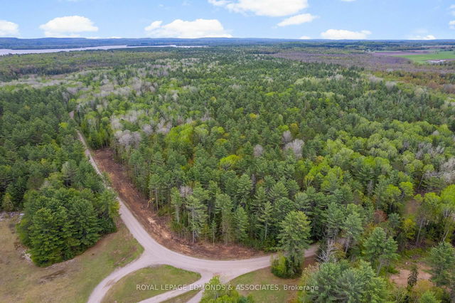 00 Nangor Trail