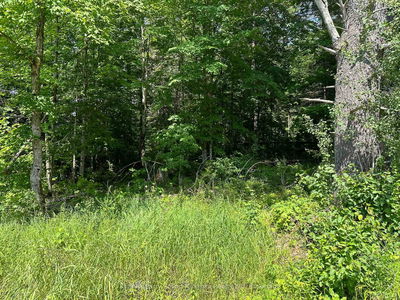  Blackwater Rd, McKellar - McKellar image-0-4