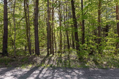 N/A Houston Rd, Muskoka Lakes - Monck (Muskoka Lakes) image-0-3