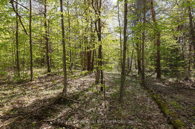 N/A Houston Rd, Muskoka Lakes - Monck (Muskoka Lakes) image-0-4