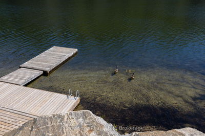 1051 Lakeview Rd, Muskoka Lakes -  image-0-4