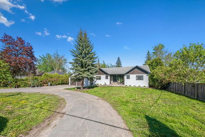 993 Ward St, Selwyn - Selwyn image-0-3