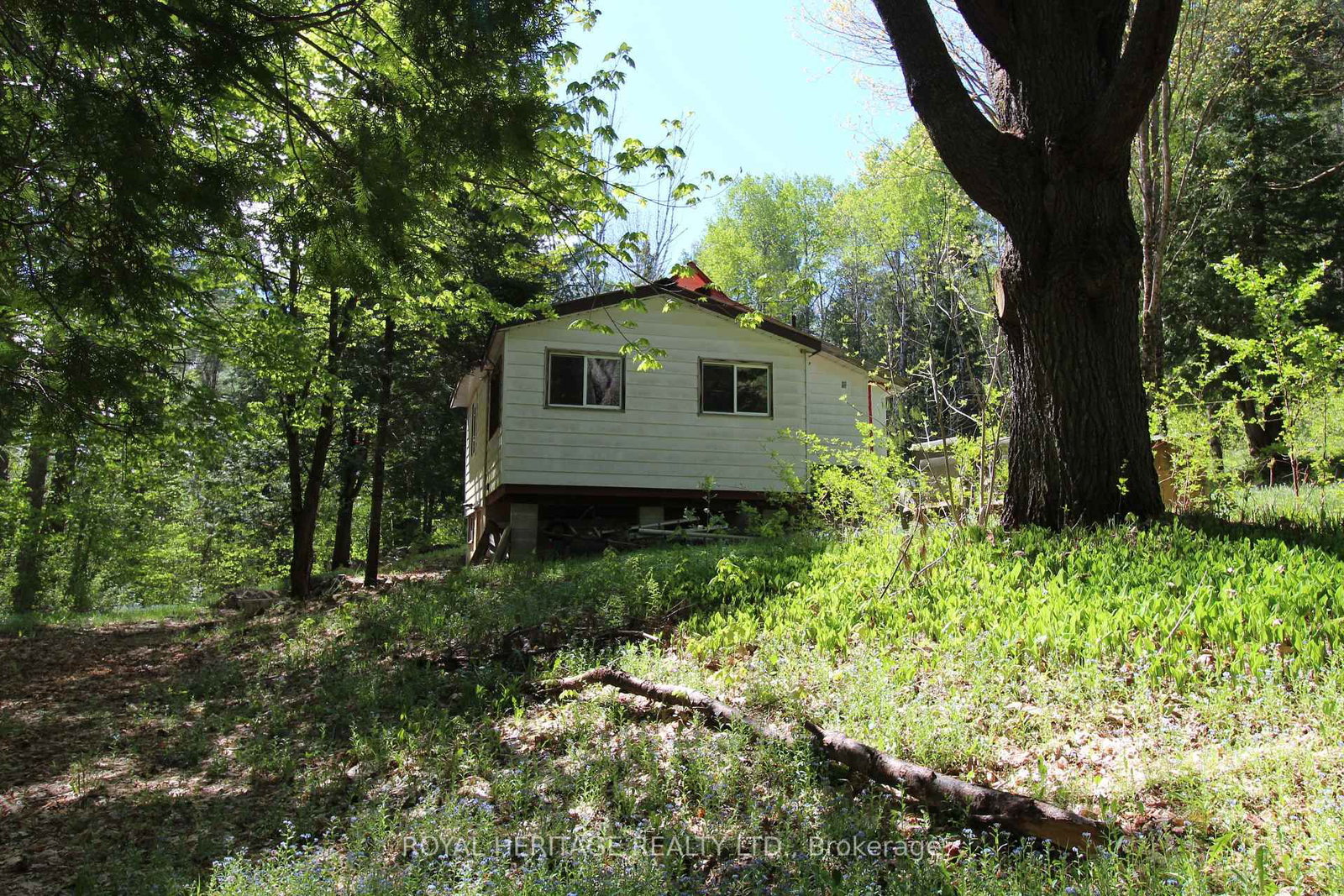 Listing Image 3