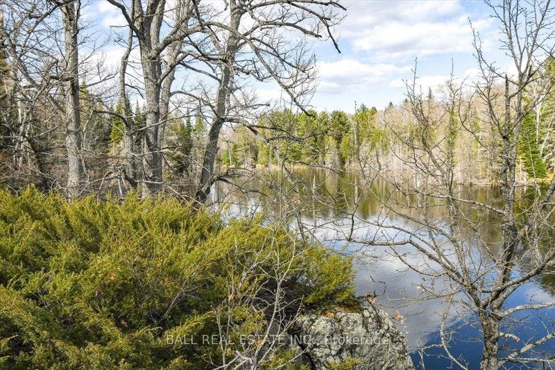 0 Clydesdale Rd, North Kawartha, K0L 1A0 | Image 2