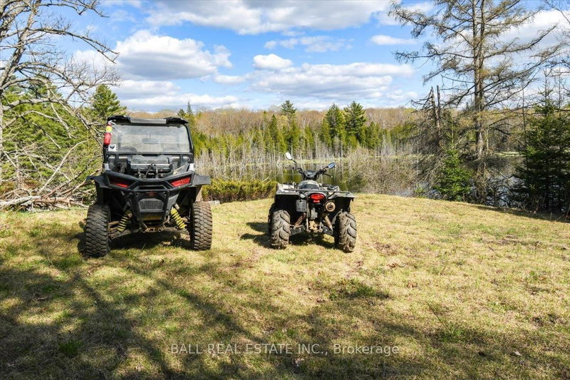 0 Clydesdale Rd, North Kawartha, K0L 1A0 | Image 3