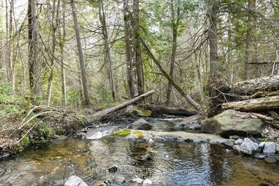  Clydesdale Rd, North Kawartha - North Kawartha image-0-3
