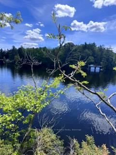 N/A Sunset Bay Rd, Gravenhurst - 
