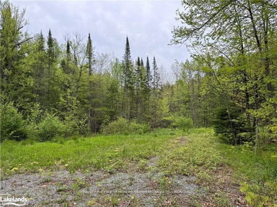64 Woodland Dr, Seguin - Seguin