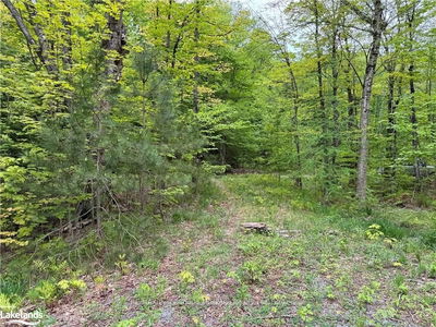 64 Woodland Dr, Seguin - Seguin image-0-2